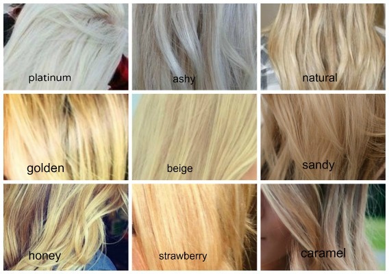Platinum blonde, ashy blonde, natural blonde, golden blonde, beige blonde, sandy blonde, honey blonde, strawberry blonde, caramel blonde